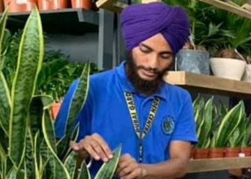 Dubái también ofrece ‘ocio’ para las plantas