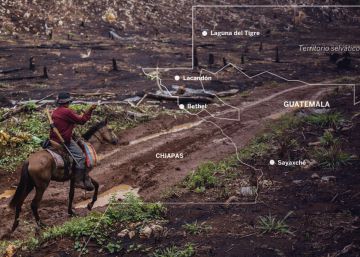 La frontera perdida en la selva