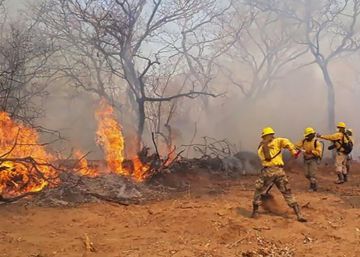 Vários incêndios florestais devoram meio milhão de hectares na Bolívia