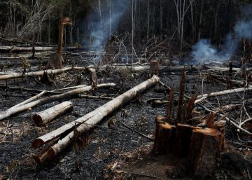 Os incêndios na Amazônia desatam críticas mundiais ao Governo Bolsonaro