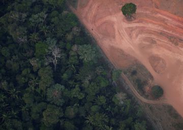 Bolsonaro sugiere que enviará militares para combatir las llamas