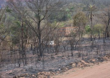 Las llamas devoran cientos de miles de hectáreas en Bolivia y Paraguay