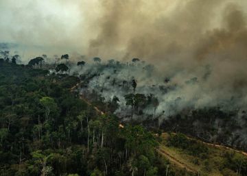 La Amazonia sin ley de Bolsonaro