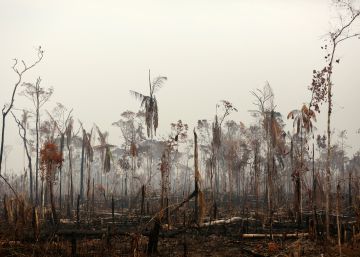 La Amazonia sin ley de Bolsonaro