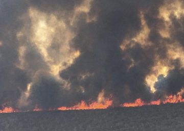 Los incendios avivan la polémica política en Bolivia