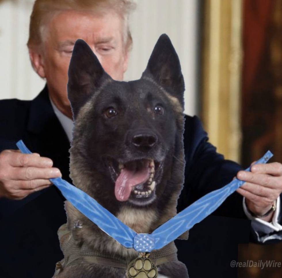 Captura de pantalla de una imagen compartida por Donlad Trump con el perro Conan en su cuenta de Twitter.