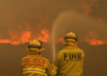 Los incendios forestales arrasan más de mil kilómetros en el este de Australia