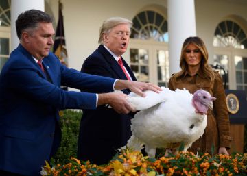 ‘Thanksgiving’: una guía del Día de Acción de Gracias en cinco minutos