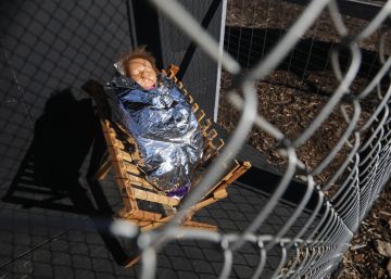 Refugiados en el portal de Belén: un nacimiento para la era Trump