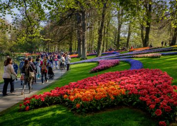 El cambio climático vuelve locos a los jardineros de los Países Bajos