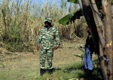 Mueren 11 menores en un incendio en un cañaveral del centro de Venezuela Mueren 11 menores en un incendio en un cañaveral del centro de Venezuela