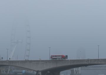 El porvenir de la niebla