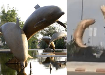 Las burlas por tomar por penes dos peces terminan con una fuente en Marruecos Las burlas por tomar por penes dos peces terminan con una fuente en Marruecos