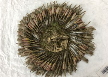 ¿Tesoro mesoamericano o falsificación? Los enigmas del penacho de Cuauhtémoc