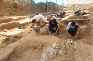 Excavaciones en las fosas comunes de la Guerra Civil en el antiguo cementerio de San Rafael de Málaga. / JULIÁN ROJAS 