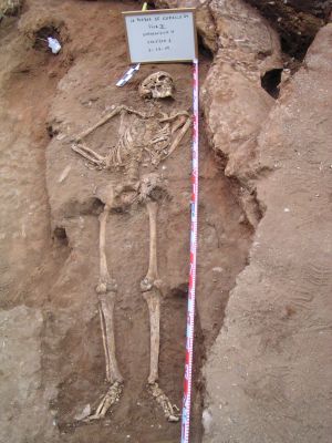 Esqueleto de una fosa común en La Puebla de Cazalla (Sevilla). 