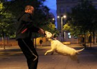 foto de la noticia