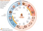 El Constitucional retoma hoy la ponencia sobre la legalidad de Sortu