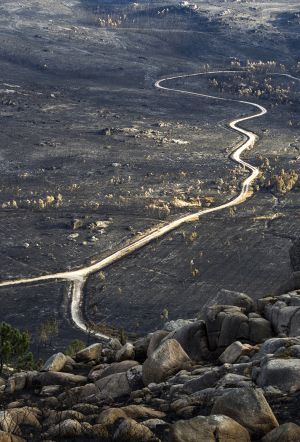 El rastro de las llamas que arrasaron casi la totalidad del monte Pindo en Carnota (A Coruña), esta semana. El rastro de las llamas que arrasaron casi la totalidad del monte Pindo en Carnota (A Coruña), esta semana.