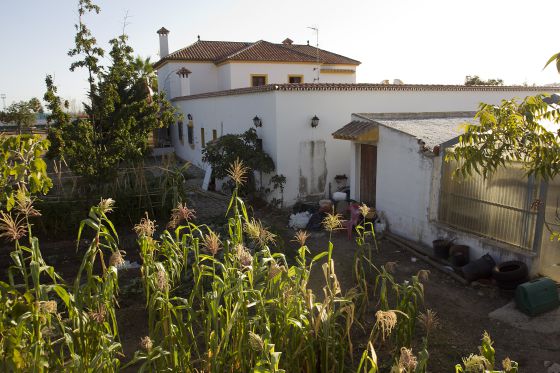 La finca La Caridad, de Juan Antonio Roca. La finca La Caridad, de Juan Antonio Roca.