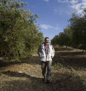 Gordillo pasea por los campos de Marinaleda. Gordillo pasea por los campos de Marinaleda.