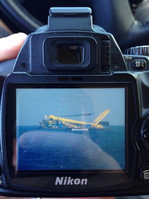 Imagen del usuario de Twitter @javicelard sobre lo avistado en el mar.