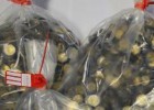Police bust forgers who were turning out thousands of €2 coins Police bust forgers who were turning out thousands of €2 coins