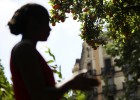 Cirurgia per reconstruir el clítoris