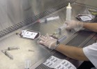 La alemana DKMS podrá difundir la donación de médula en España La alemana DKMS podrá difundir la donación de médula en España