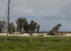 El Defensor del Pueblo pide retirar los barcos furtivos del Guadalquivir