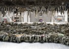 El monstre que embussa les clavegueres