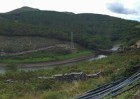 Biólogos acreditan la tala de árboles protegidos en obras de Villar Mir