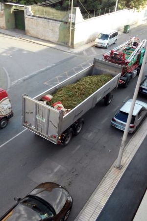 camion con marihuana