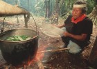 O misterioso poder da ayahuasca