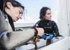 Del Índico a Mallorca en una bolsa de plástico Del Índico a Mallorca en una bolsa de plástico