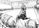 La sentencia y el problema militar