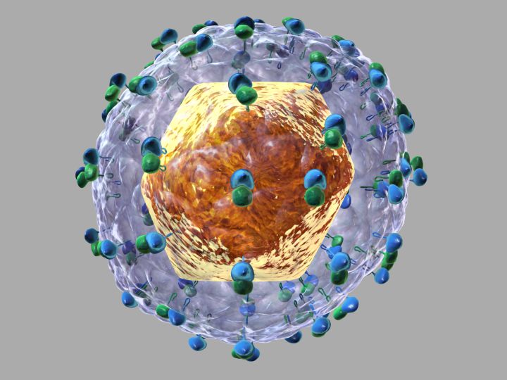 Virus de la hepatitis C. Virus de la hepatitis C.