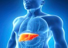 El gasto hospitalario en fármacos sube un 26% por la hepatitis C El gasto hospitalario en fármacos sube un 26% por la hepatitis C