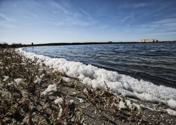 El Mar Menor, al borde del colapso