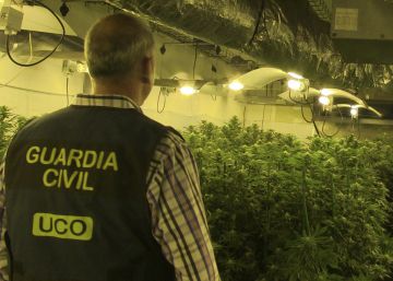Más de 40 detenidos en una operación antidroga en Mallorca Más de 40 detenidos en una operación antidroga en Mallorca