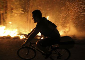 En solo una semana ha ardido un tercio de todo el terreno quemado en 2016 En solo una semana ha ardido un tercio de todo el terreno quemado en 2016