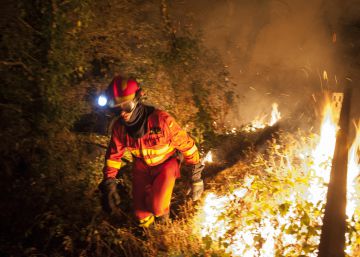 El fuego arrasa en dos días cerca de 6.000 hectáreas en Ourense El fuego arrasa en dos días cerca de 6.000 hectáreas en Ourense