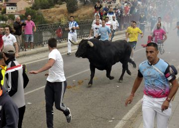 El Toro de la Vega 2016, en directo