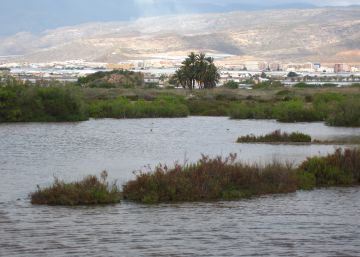 Roquetas se moviliza para frenar 8.000 pisos en las salinas Roquetas se moviliza para frenar 8.000 pisos en las salinas