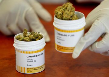 El Ejército que cultiva cannabis y otros ejemplos de su uso medicinal El Ejército que cultiva cannabis y otros ejemplos de su uso medicinal