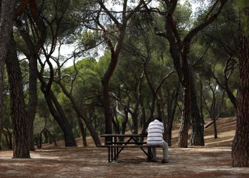 El nombre de persones que viuen soles es dispararà a Espanya un 20%