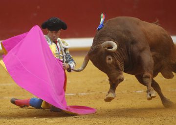 Anulada la prohibición de organizar corridas de toros en San Sebastián
