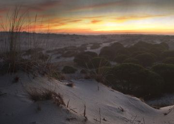 La sociedad civil se organiza contra el almacén de Doñana