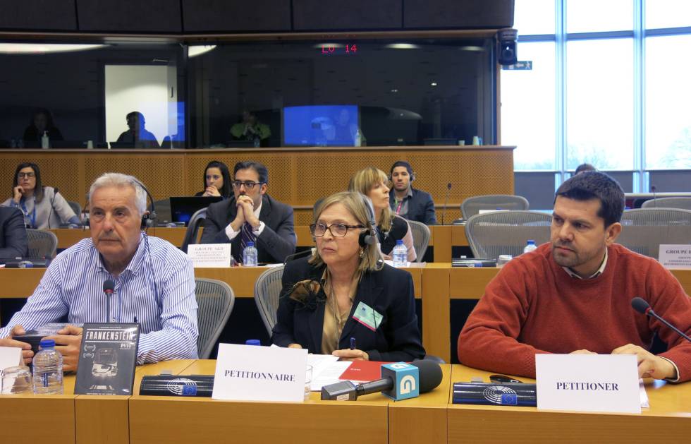 Representantes de la Asociación Plataforma Víctimas del Alvia 04155 durante la comisión de Peticiones del Parlamento Europeo.