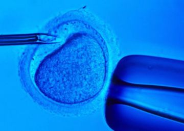 Una clínica haurà de pagar 315.000 euros per fecundar una dona amb esperma d’un desconegut